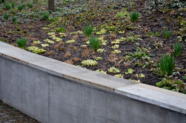 Cost of Concrete Wall Construction in Morgan Hill