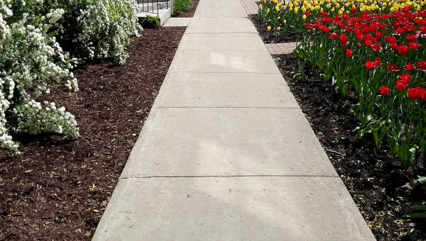 Cost of Cement Sidewalk Installation in Morgan Hill