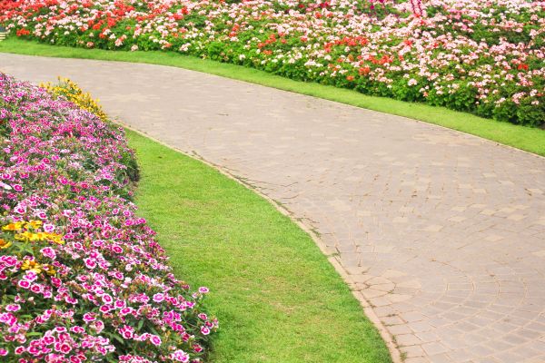 Cost of Concrete Walkway Service in Morgan Hill